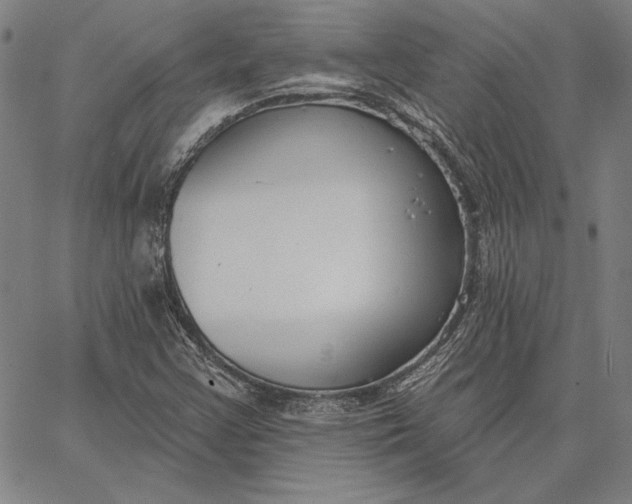 X0000067331355200604131650