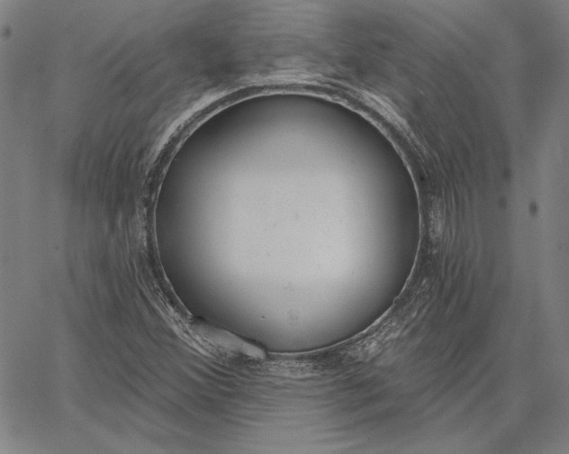 X0000067331356200604131650