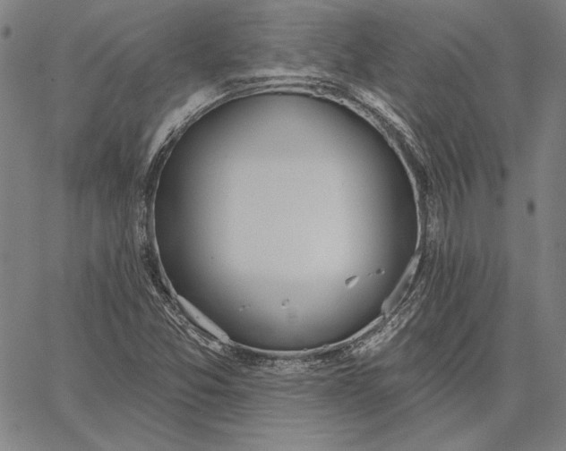 X0000067331357200604131650