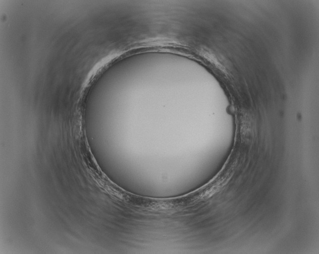 X0000067331358200604131650