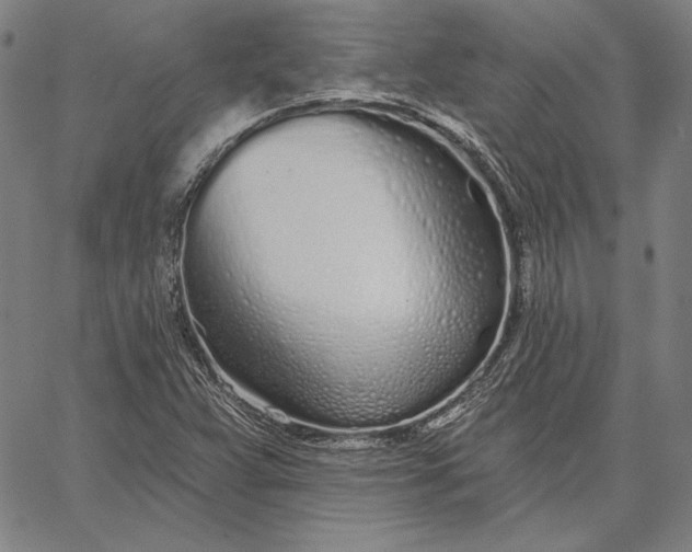 X0000067331359200604131650