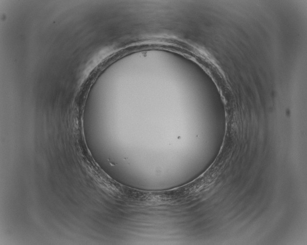 X0000067331360200604131650