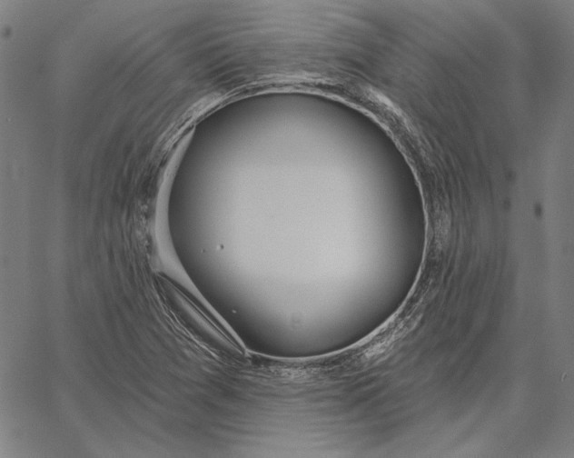 X0000067331361200604131650