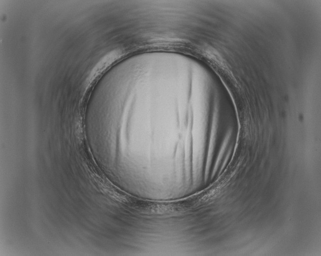 X0000067331362200604131650