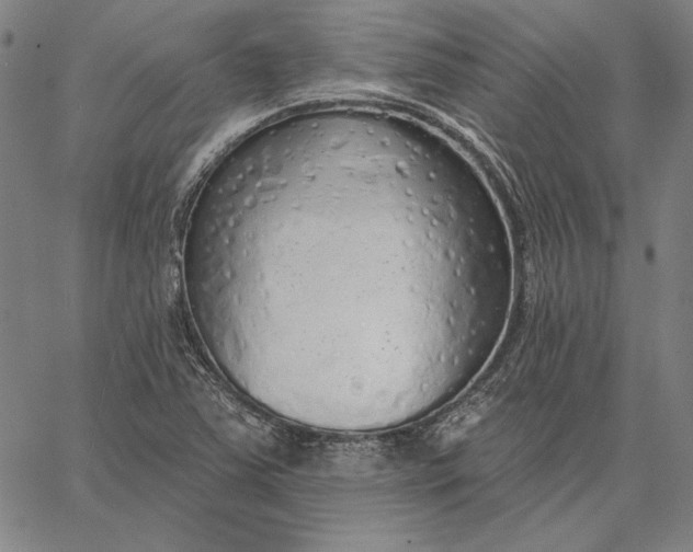 X0000067331363200604131650