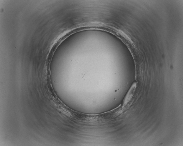 X0000067331364200604131650