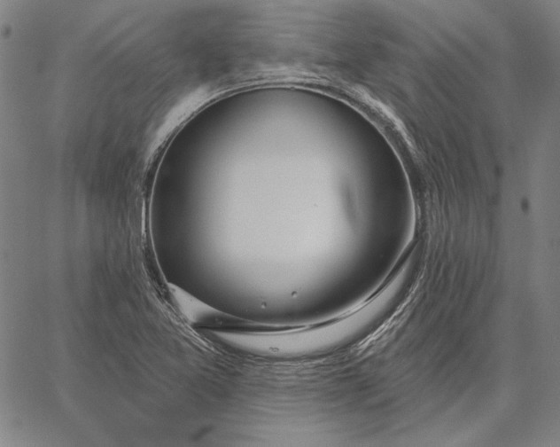 X0000067331365200604131650