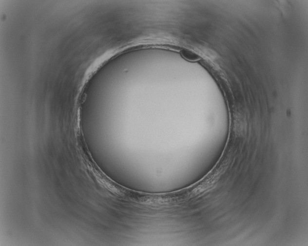 X0000067331366200604131650