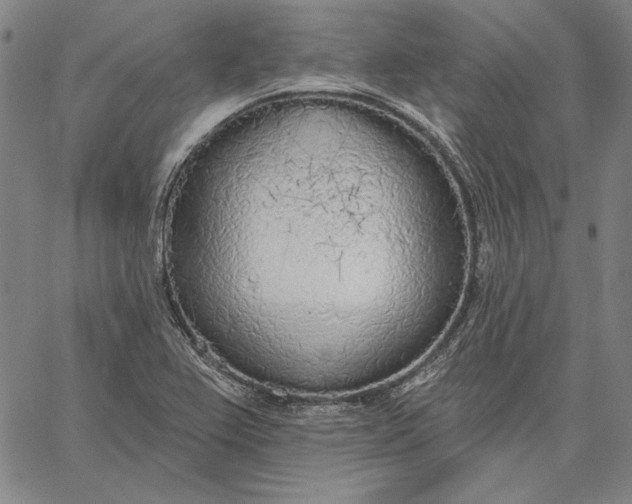 X0000067331367200604131650