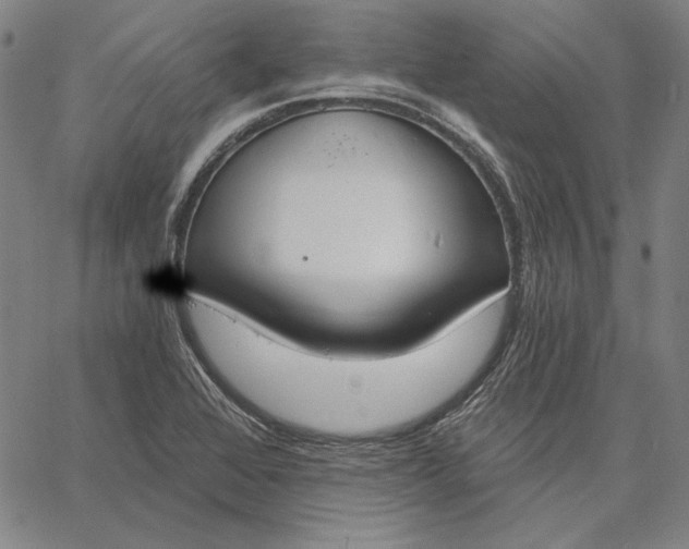 X0000067331368200604131650