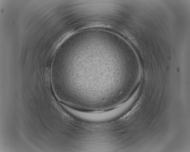 X0000067331369200604131650