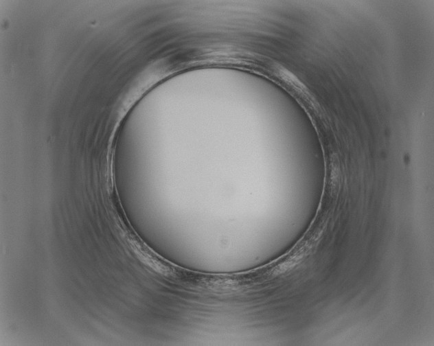 X0000067331370200604131650