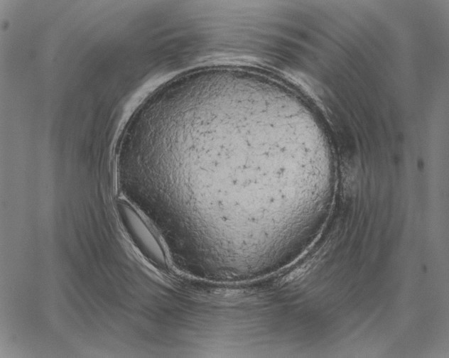 X0000067331371200604131650