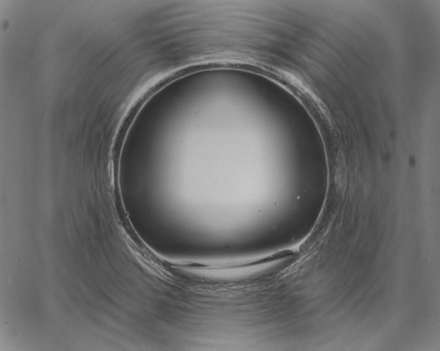 X0000067331372200604131650