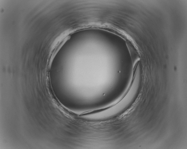 X0000067331373200604131650