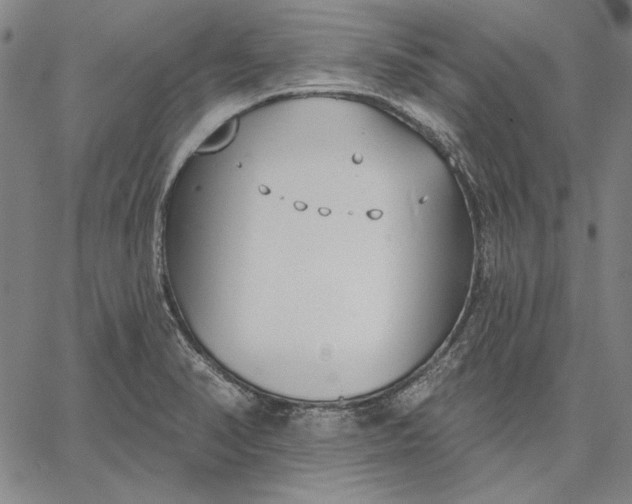 X0000067331374200604131650