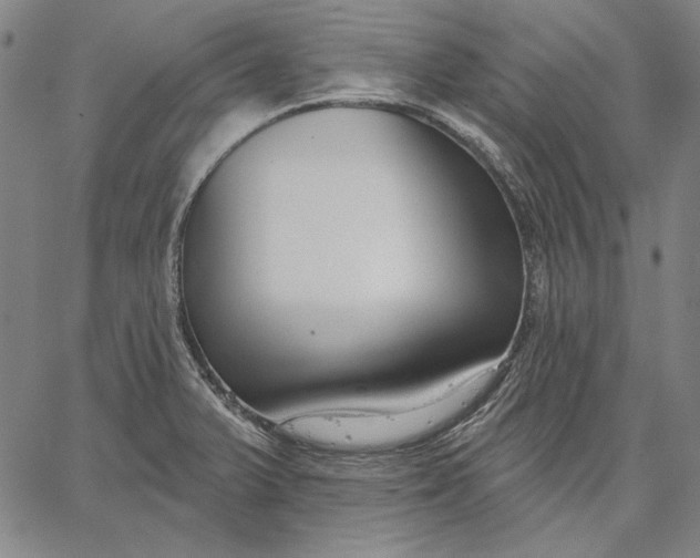 X0000067331375200604131650