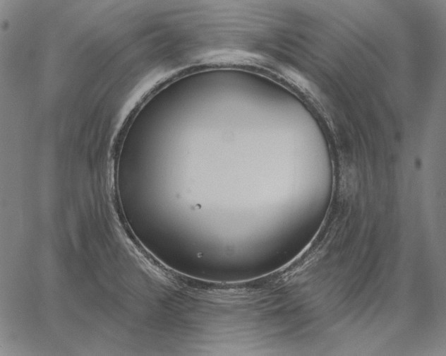 X0000067331376200604131650