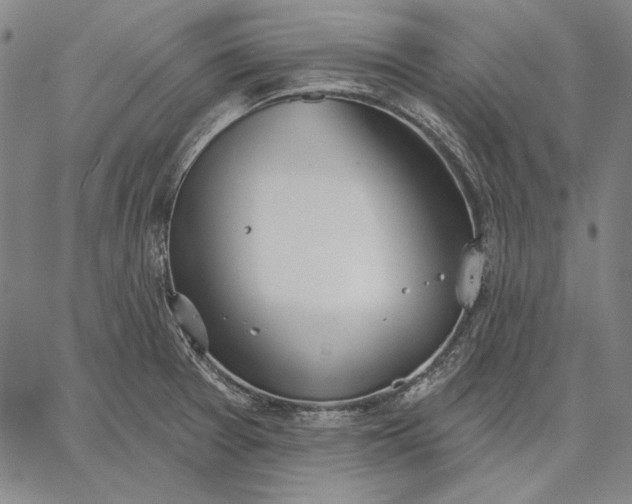 X0000067331377200604131650