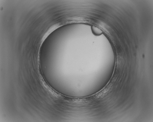 X0000067331378200604131650