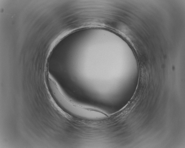 X0000067331379200604131650