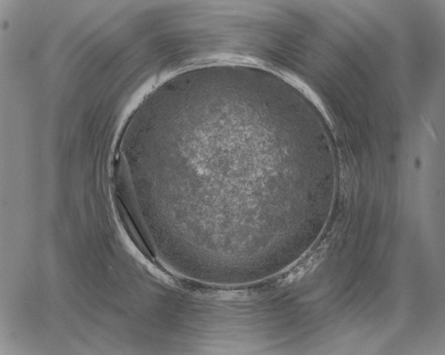 X0000067331381200604131650