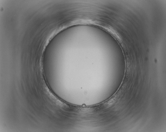 X0000067331382200604131650