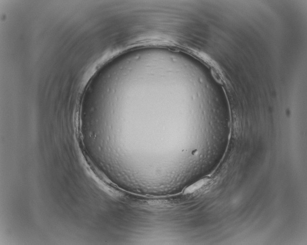 X0000067331383200604131650