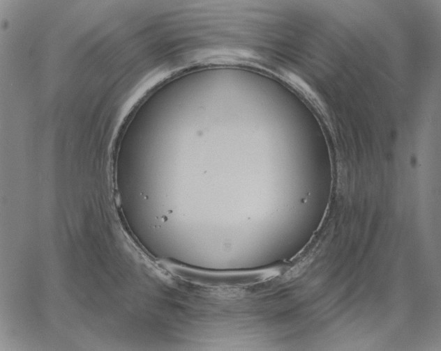 X0000067331384200604131650