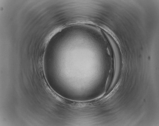 X0000067331385200604131650