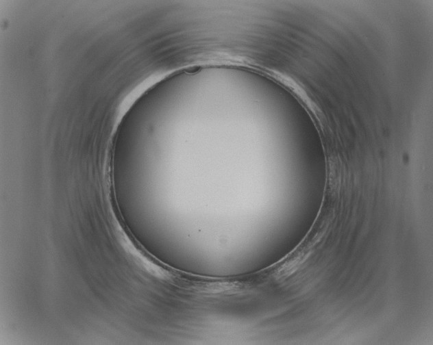 X0000067331387200604131650