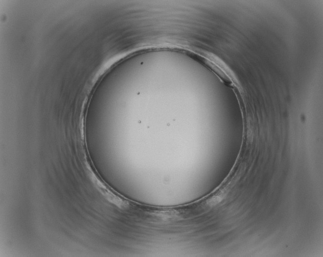 X0000067331388200604131650