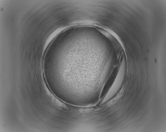 X0000067331389200604131650