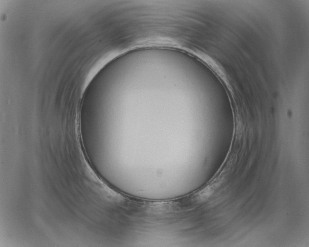 X0000067331390200604131650