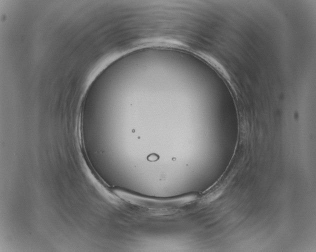 X0000067331391200604131650