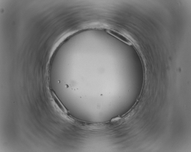 X0000067331392200604131649