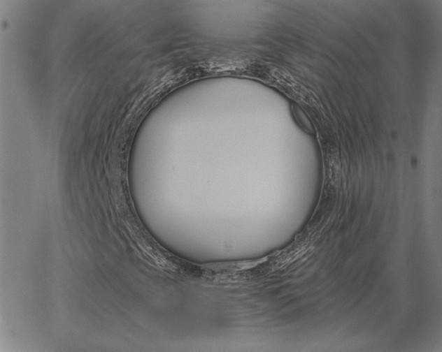 X0000067331393200604131649