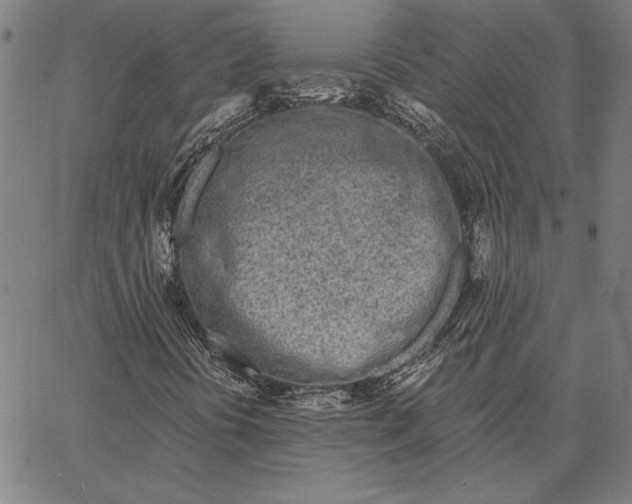 X0000067331394200604131649