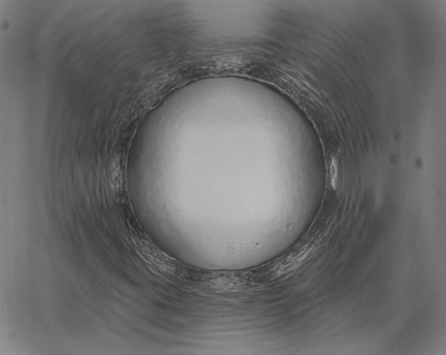 X0000067331395200604131649