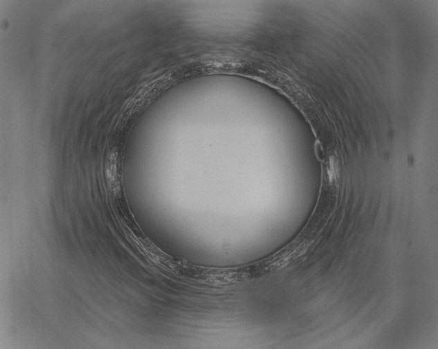 X0000067331396200604131649