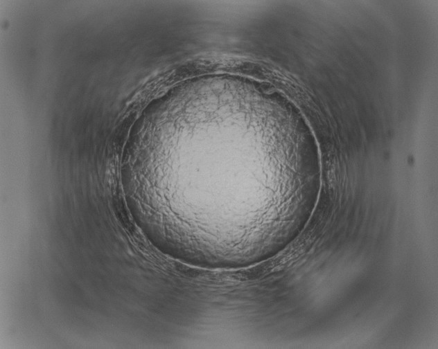 X0000067331397200604131649