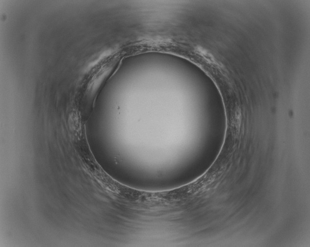 X0000067331398200604131649