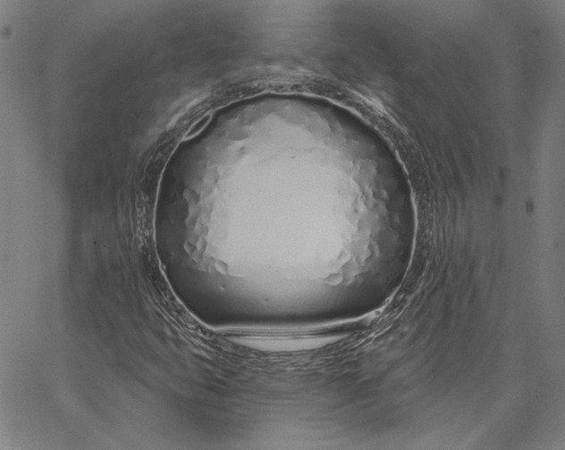 X0000067331399200604131649