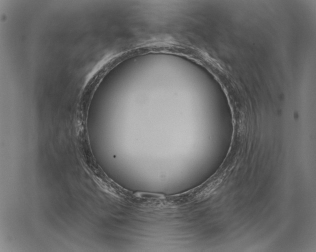 X0000067331400200604131649