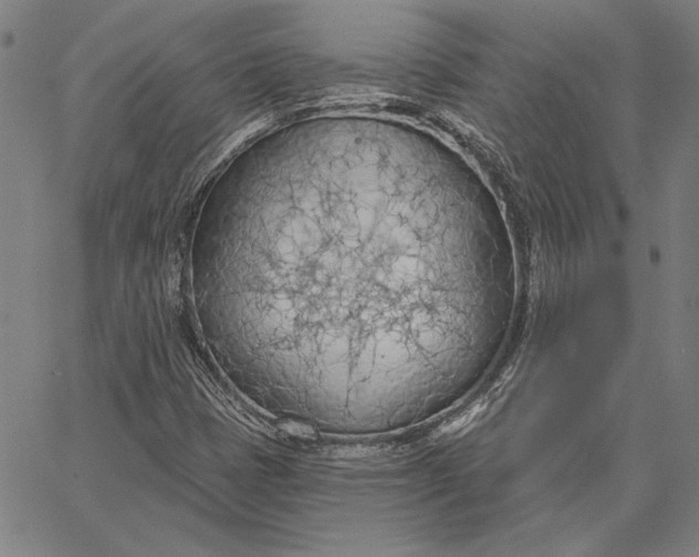 X0000067331401200604131649