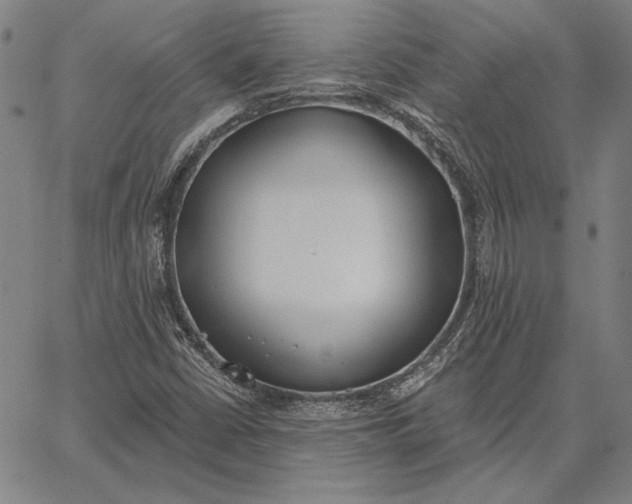 X0000067331402200604131649