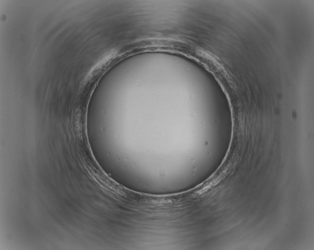 X0000067331403200604131649