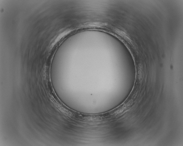 X0000067331404200604131649