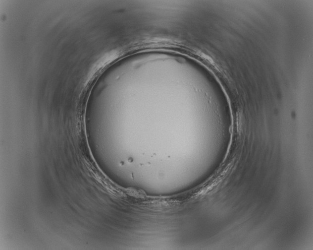 X0000067331405200604131649