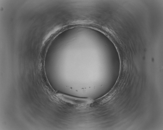 X0000067331406200604131649